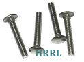 Carriage Bolts Dealer